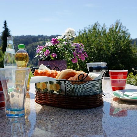 Obernzell Ferienappartement Donautal מראה חיצוני תמונה